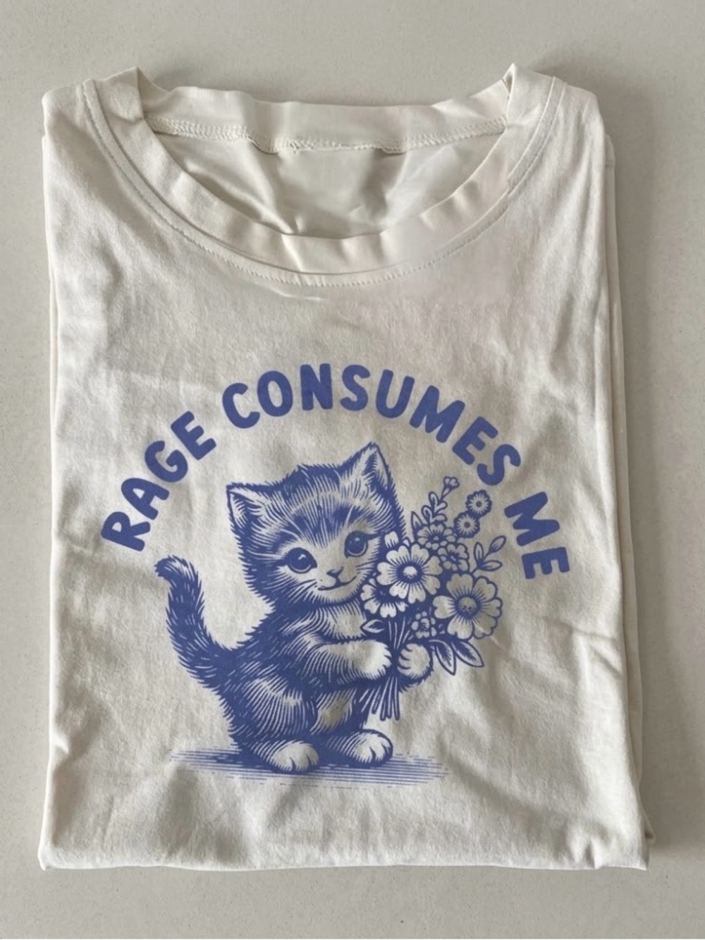 Comfort Colors Rage Comsumes Me Funny Kitty Cat Meme Tee
